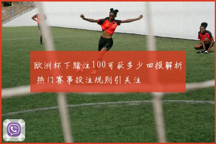 欧洲杯下赌注100可获多少回报解析 热门赛事投注规则引关注