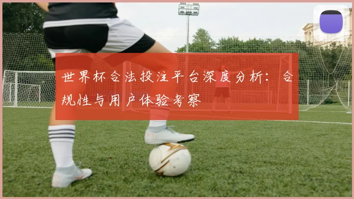 世界杯合法投注平台深度分析:合规性与用户体验考察