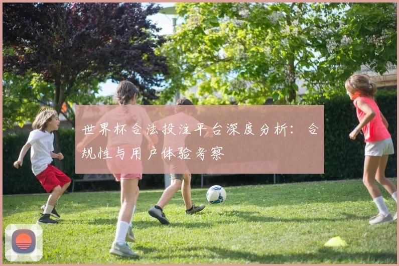 世界杯合法投注平台深度分析：合规性与用户体验考察