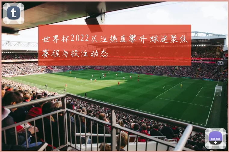 世界杯2022买注热度攀升 球迷聚焦赛程与投注动态