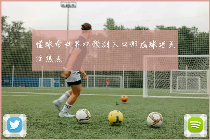 懂球帝世界杯预测入口哪成球迷关注焦点