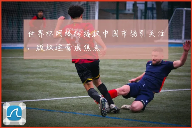 世界杯网络转播权中国市场引关注，版权运营成焦点